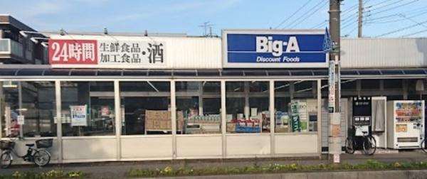 ステージアヴァンセ(ビッグ・エー三郷駅前店)