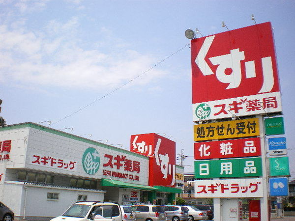 一宮市千秋町天摩字北野の事務所(スギ薬局大地店)