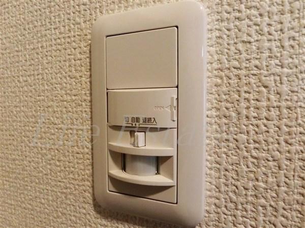 ゆずり葉