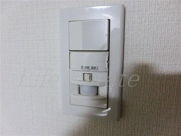 Rebis（レビス）