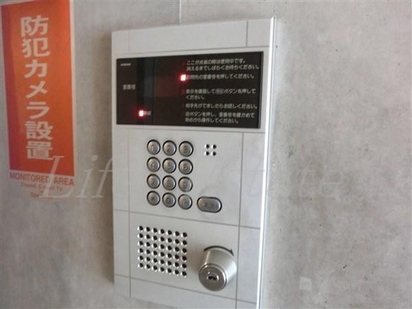 ａｐｒｉｃｏ（アプリコ）