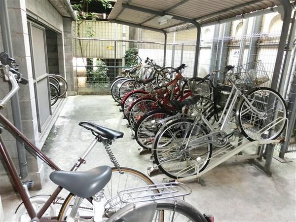 ａｐｒｉｃｏ（アプリコ）