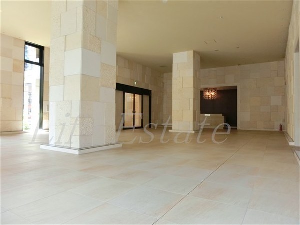 アルグラッドザ・タワー心斎橋(その他共用部分)