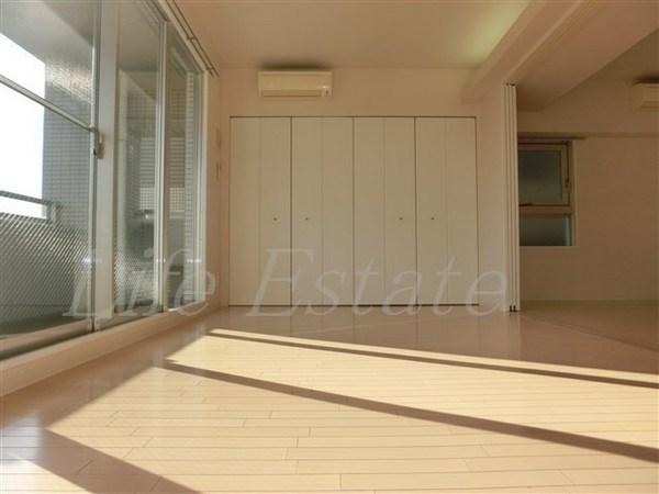 キャピトル安堂寺