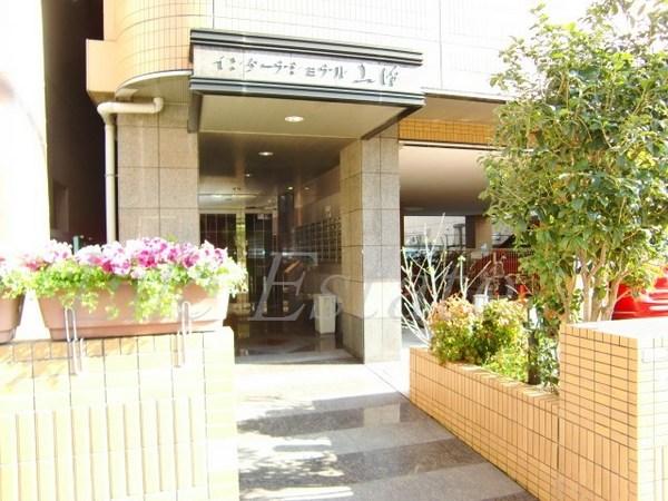 インターナショナル上汐