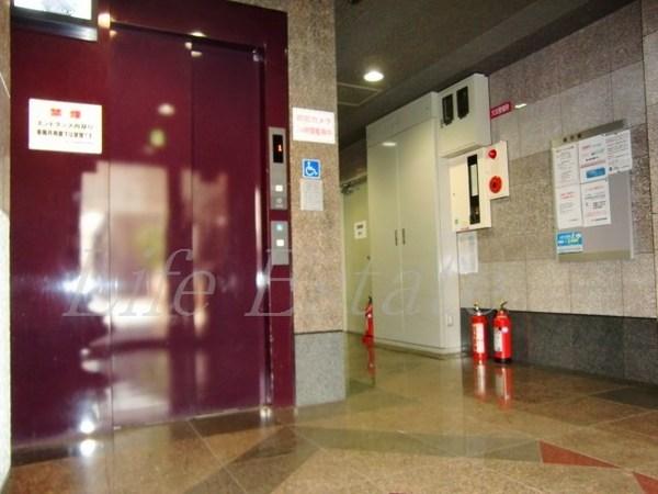 インターナショナル上汐