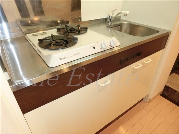 レジュールアッシュ谷町