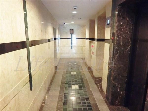 エイペックス心斎橋東