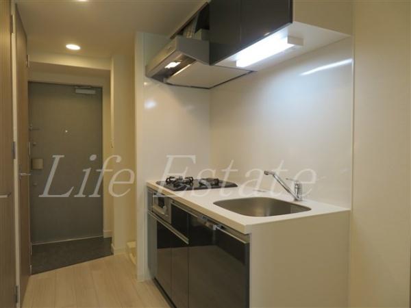 プレサンス谷町九丁目ディセオ(玄関)