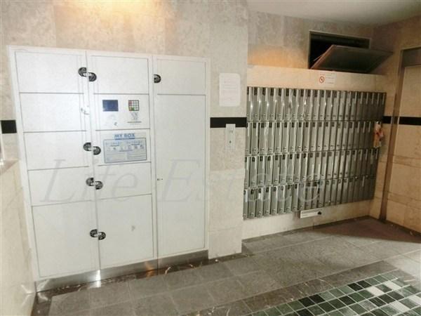 エイペックス心斎橋東