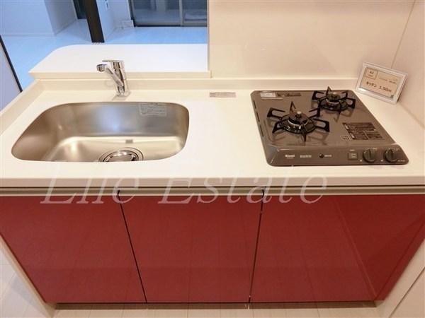 ドミツィール福