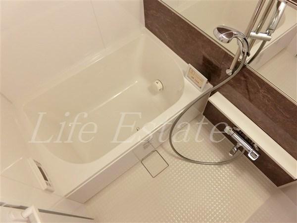 ドミツィール福