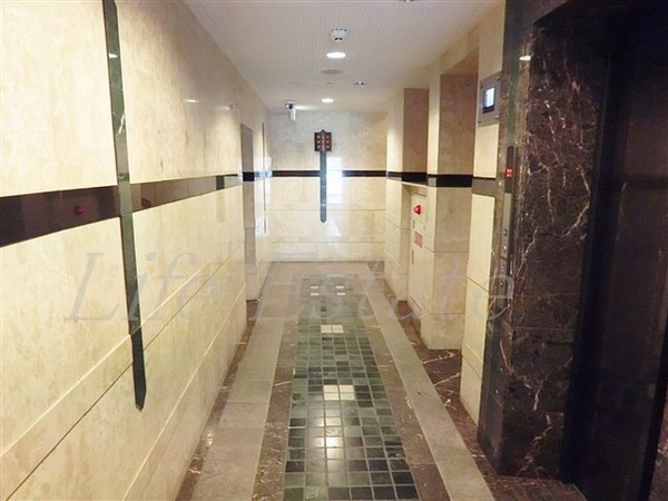 エイペックス心斎橋東