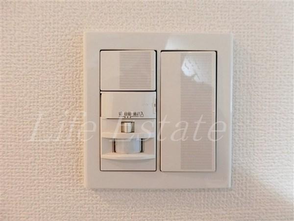 Rebis（レビス）