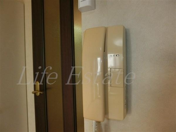 インターナショナル上汐