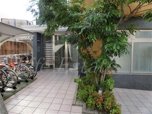 プライマリィＫ