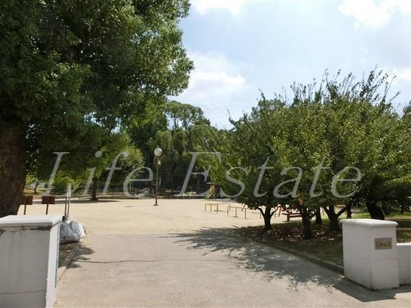 エイペックス上本町(高津公園)