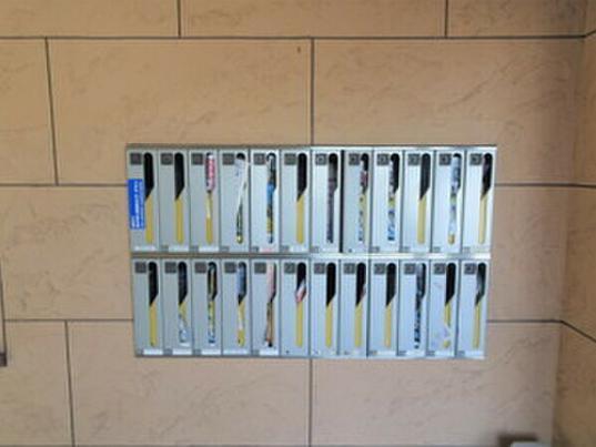 BOA　VISTA5F