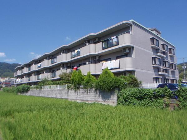 グリーンエクセル水無瀬３０６号