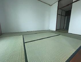 メゾン水無瀬４号棟/11F