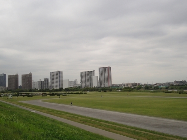 ステラ多摩川(大田区区民広場)