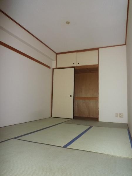フラットフォーレスト
