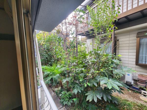 コーポ新月