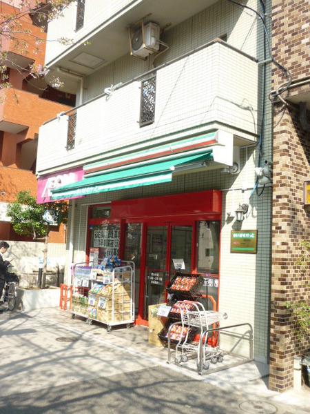 ハイネスオオネダ(まいばすけっと南大井店)