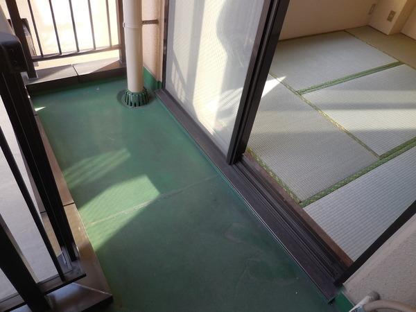 ハイネスオオネダ