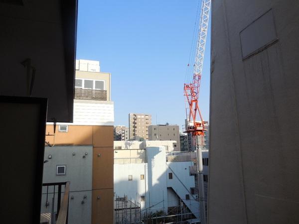 ハイネスオオネダ