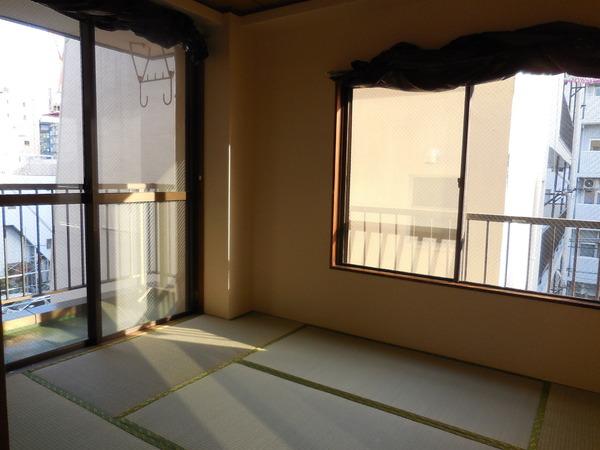 ハイネスオオネダ