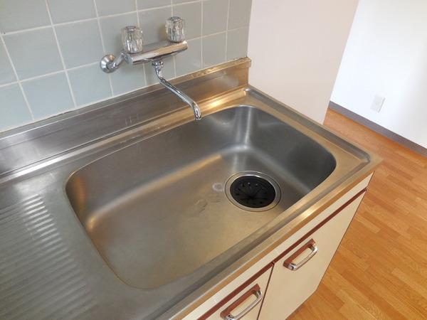 ハイネスオオネダ