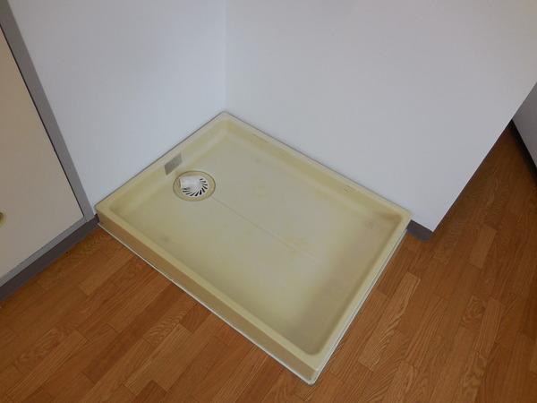 ハイネスオオネダ