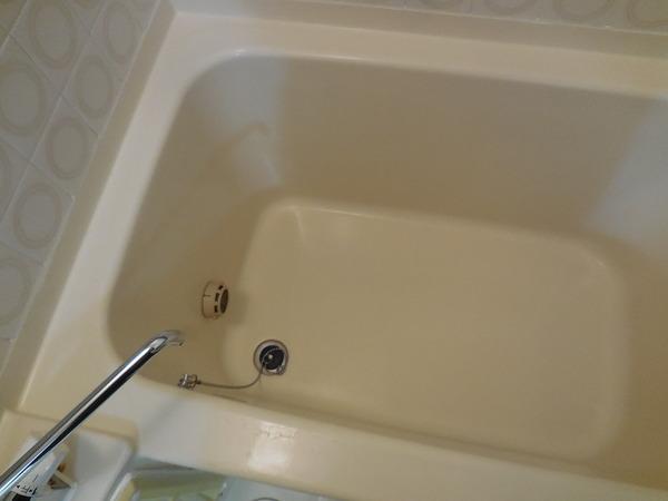 ハイネスオオネダ