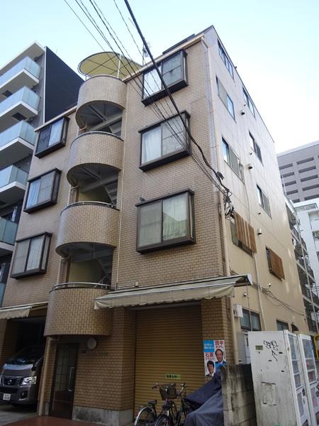 ハイネスオオネダ