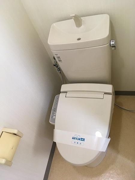 ハイネスオオネダ