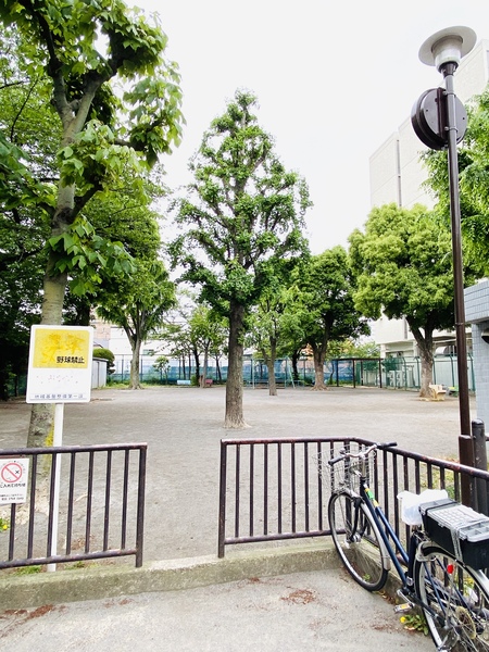 ハイツ柏(大森西七丁目公園)