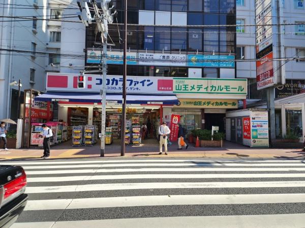 チェスナッツ大森(ココカラファイン薬局大森山王店)