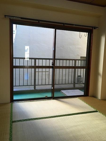 ハイネスオオネダ