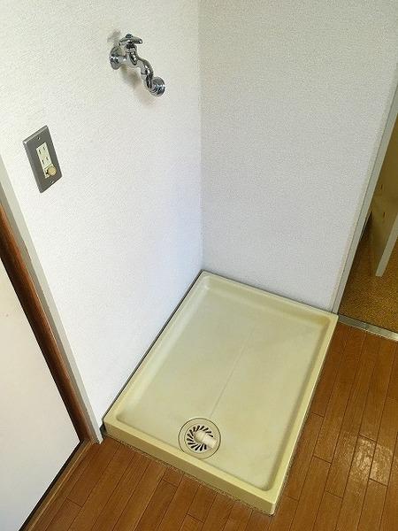 ハイネスオオネダ
