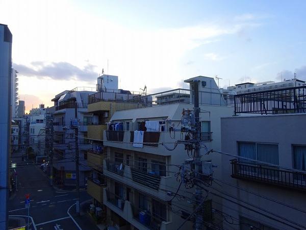 ハイネスオオネダ