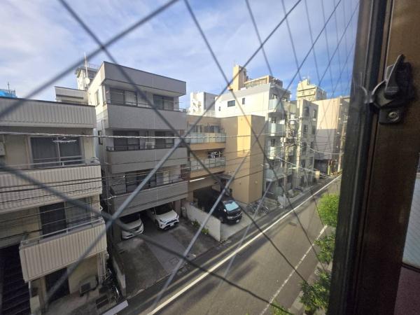 ハイネスオオネダ