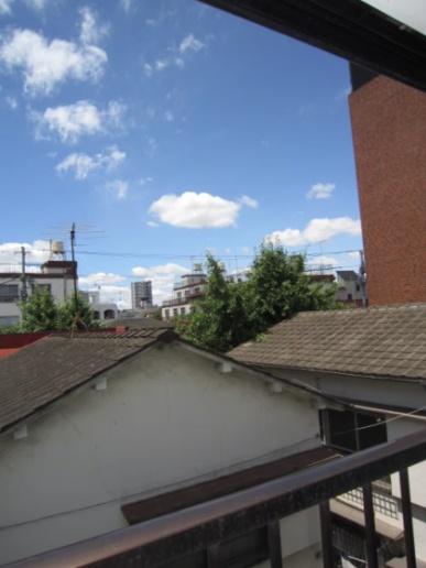 エーデルワイス