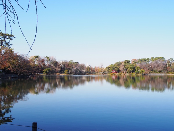 パスティーユ石川台(洗足池公園)