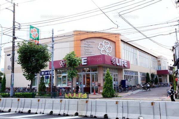 ハイツ高千穂(ライフ大森中店)
