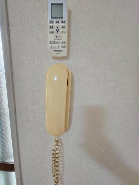 チェスナッツ大森