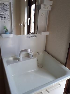 フローレス茶畑