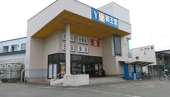 ファミール緑が丘(薬王堂盛岡緑が丘店)