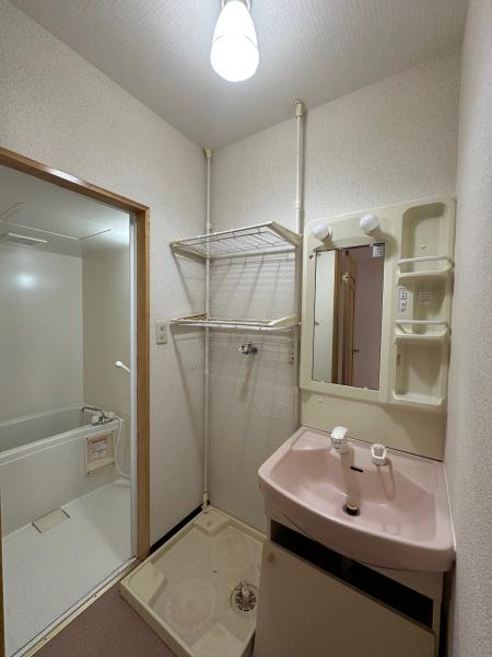 グレースハイム(洗面台・洗面所)