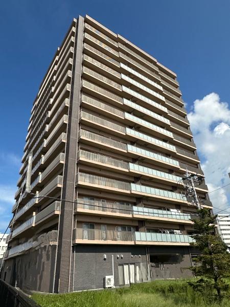 アンピール大村ステーションツリー